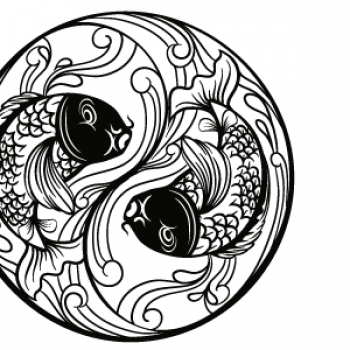 Yin und Yang als fische dargestellt gezeichnet