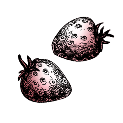 Bio gefriergetrocknete Erdbeeren gezeichnet